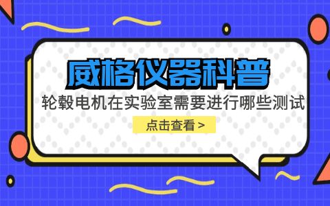 威格儀器-輪轂電機(jī)在實(shí)驗室需要進(jìn)行哪些測試插圖