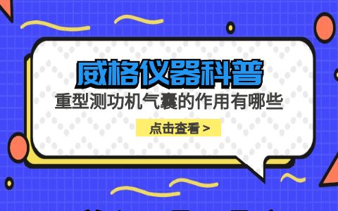 威格儀器-重型測(cè)功機(jī)氣囊的作用有哪些插圖